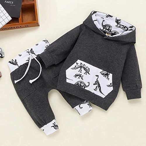 Grey Dinosaur Hoodie Set