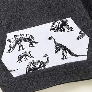 Grey Dinosaur Hoodie Set