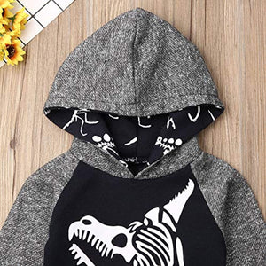 T-Rex Hoodie Set